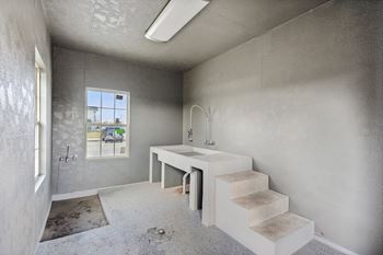 Dog washing station